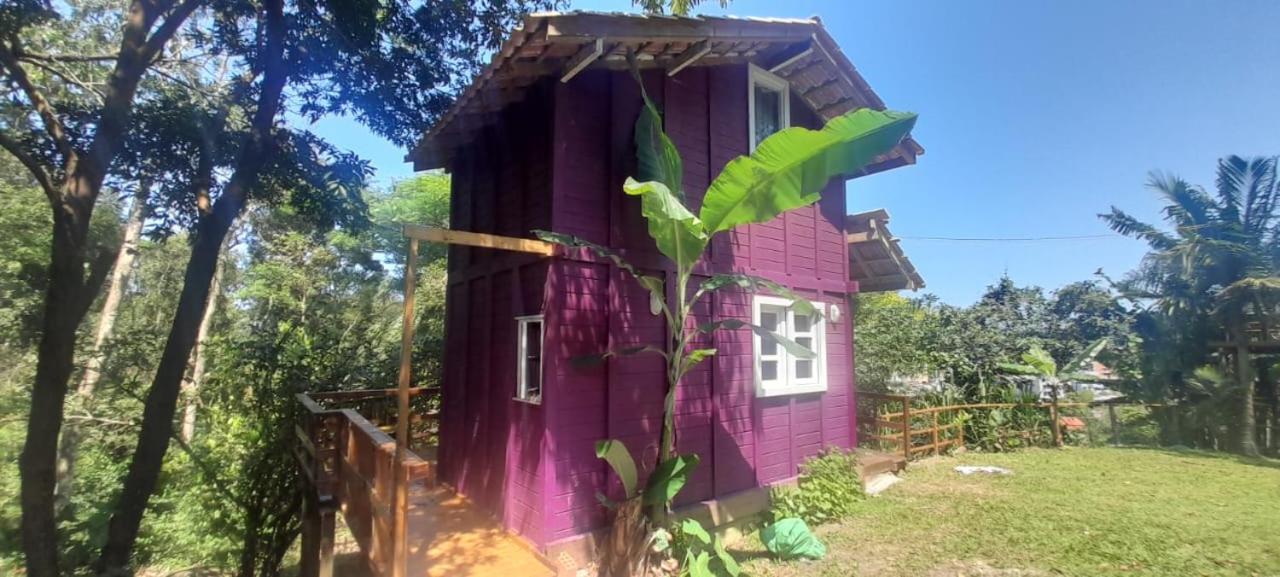 Violeta Aquarela Bombinhas Villa Ngoại thất bức ảnh
