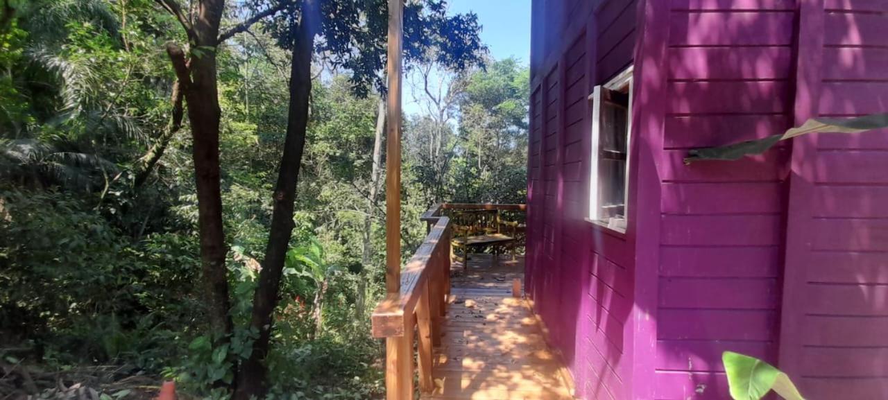 Violeta Aquarela Bombinhas Villa Ngoại thất bức ảnh